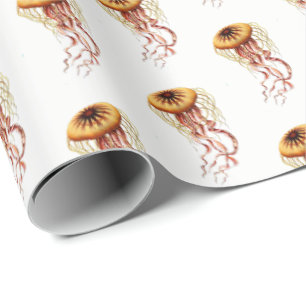 Presente Papel Tissue com Desenho Estilizado de Água-viva A