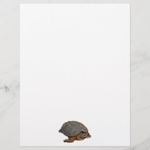 Presente para amante do Terrapin da Tartaruga