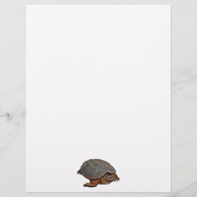 Presente para amante do Terrapin da Tartaruga (Frente)