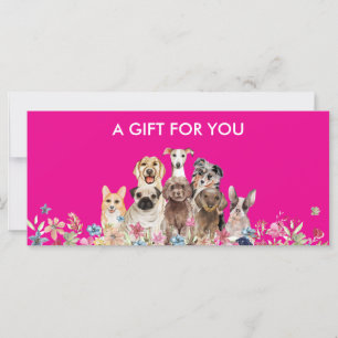 Presente para pet sitter de loja de embelezamento