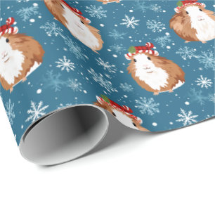 Presente Porcos-guineis no papel de enrolar do Natal