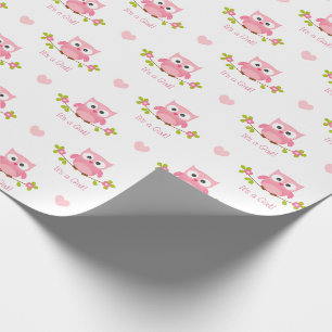 Presente Rosa do bebé de papel de envolvimento da coruja 
