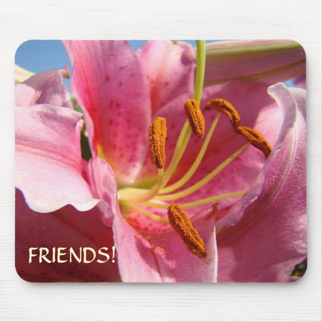 PRESENtes DE AMIGOS Mousepad Rosa Flores de Copo-d (Frente)