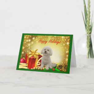 Presentes de Cartão de Natal Bichon Frise