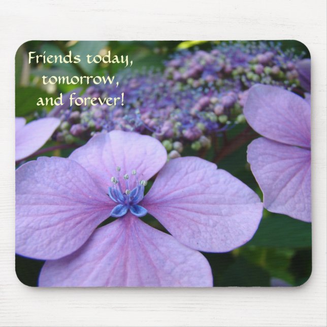 Presentes de Mouse Pad FRIENDS Hoje Amanhã Sempre (Frente)