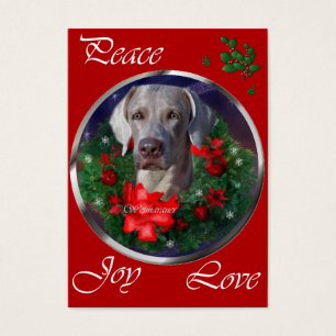 Presentes de Natal do Weimaraner