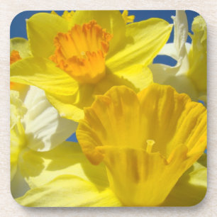 Presentes de porta-copos de cortiça Flores de Narc