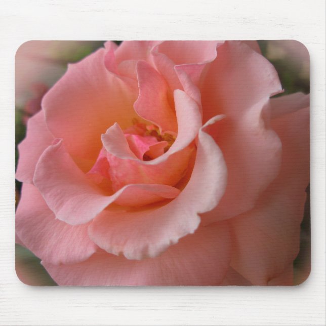 Presentes de Rosa selvagem do Mousepad para Flores (Frente)