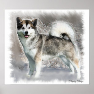 Presentes do impressão da arte do Malamute do