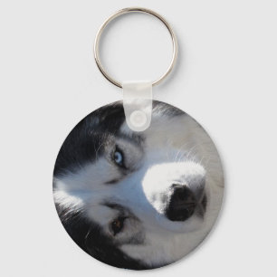 Presentes do rouco Siberian/Malamute do chaveiro