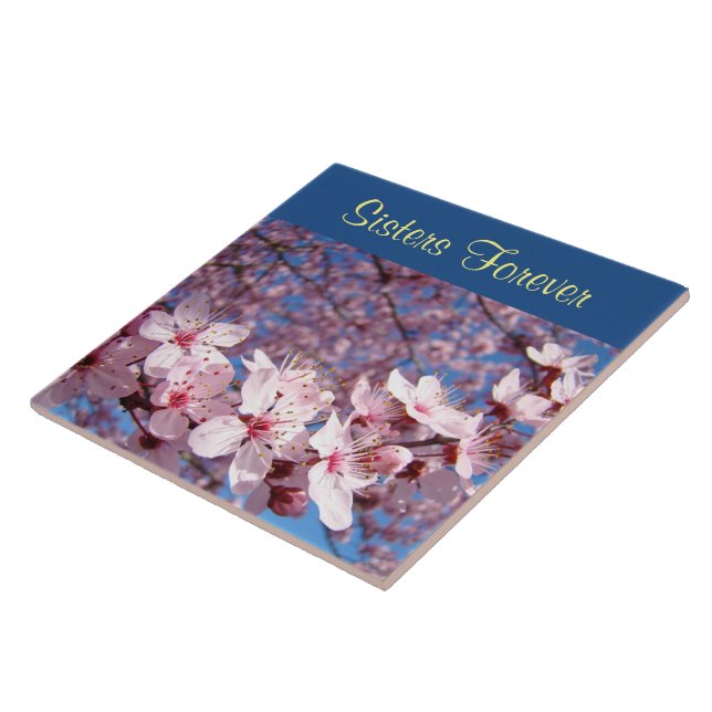 Presentes Irmãs Para Sempre Azulejos Arte Rosa Flo (Lateral)