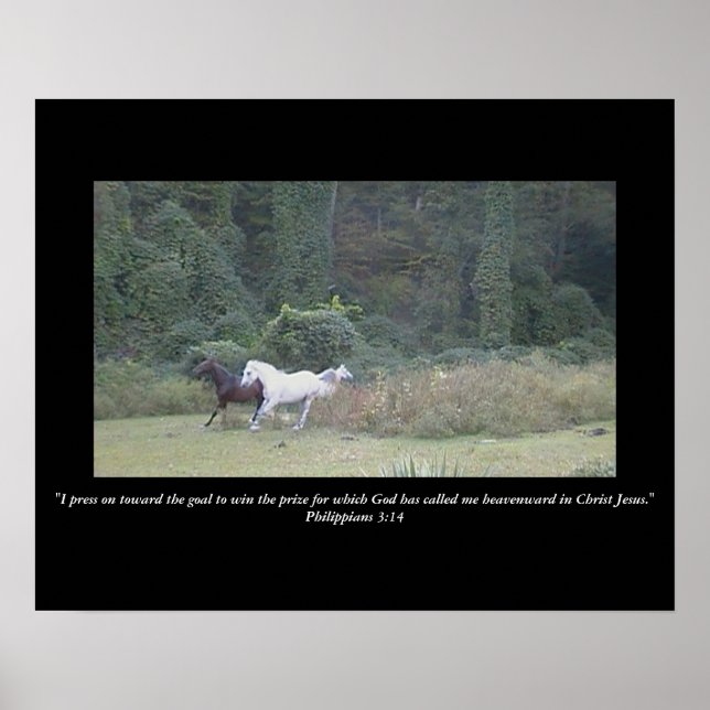 Pressionando em direção ao Poster da meta (Frente)