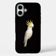 Preto 4 Luxe iPhone 16 Plus, Cacatua Crestado