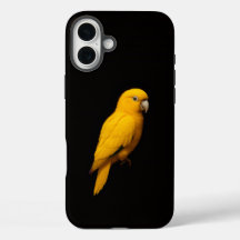 Preto 4 Luxe iPhone 16 Plus, Periquito Dourado