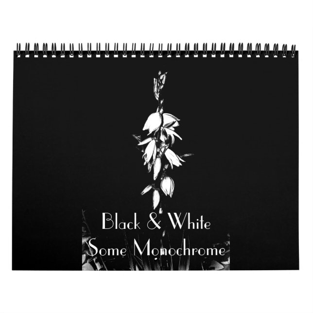 Preto e branco Algum calendário monocromático (Capa)