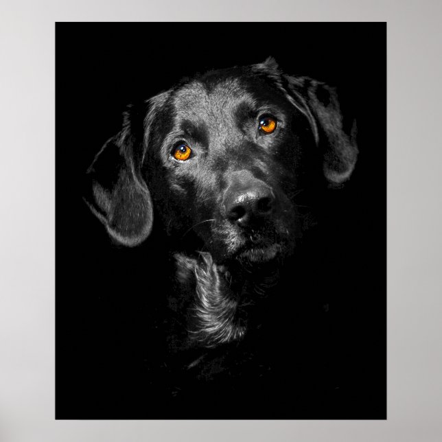 Preto Labrador Poster de Canvas de Cachorro Imprim (Frente)