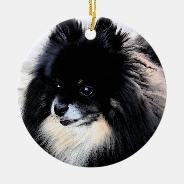 Preto & ornamento de Tan Pomeranian (Frente)