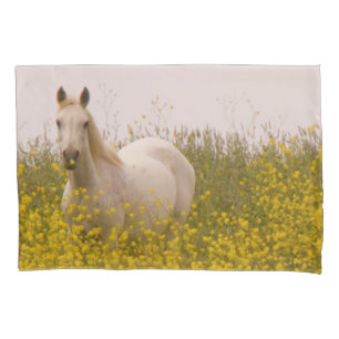 Primavera