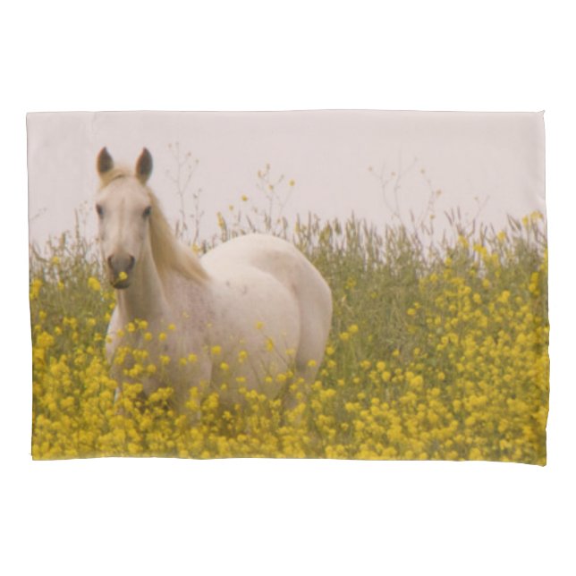 Primavera (Frente-Esquerda)