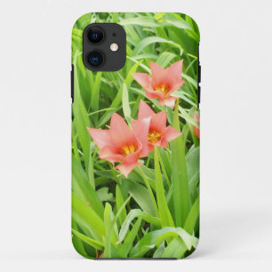 Primavera 20 capas de iphone