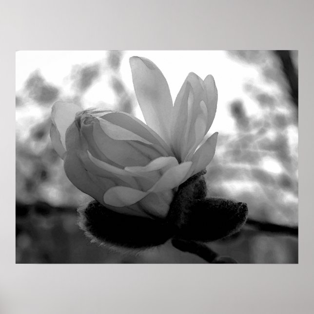 Primavera Bloom Impressão (Frente)