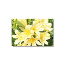 Primavera Blooms Canvas
