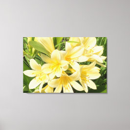 Primavera Blooms Canvas