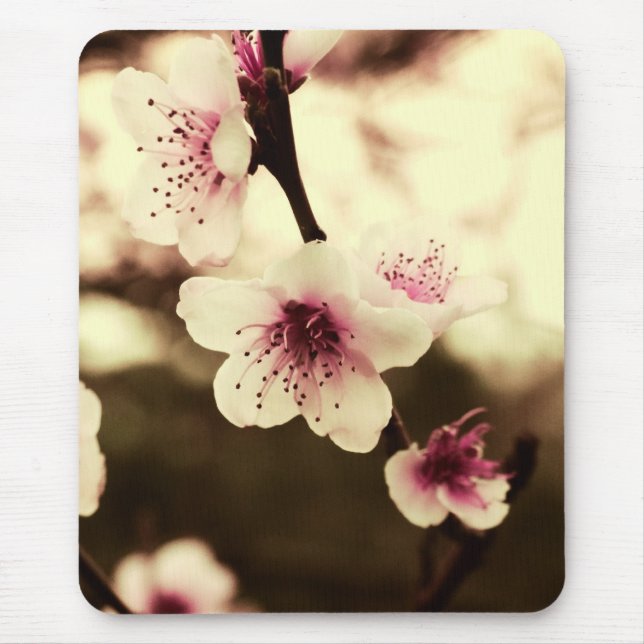 Primavera Blossoms Mousepad (Frente)