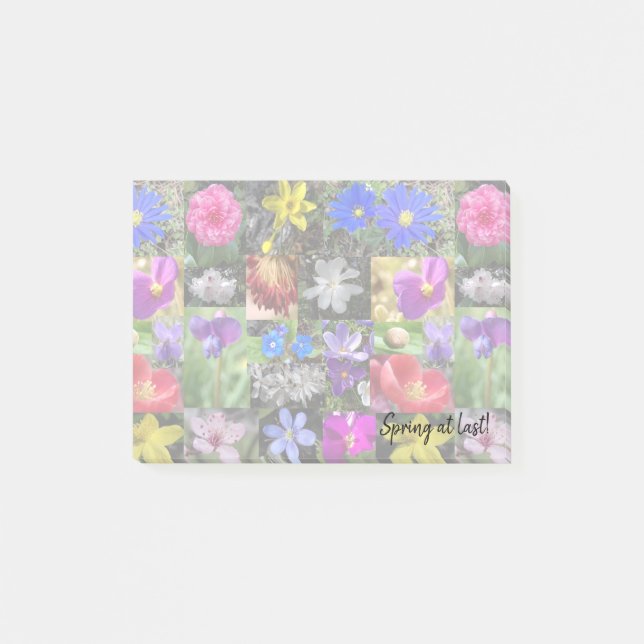 primavera colorido - bloco de notas (Frente)