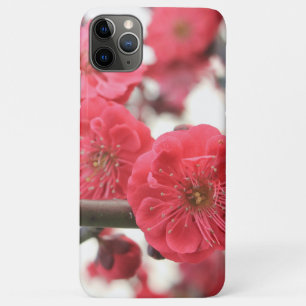 primavera cor-de-rosa com flor de ameixa capas de 