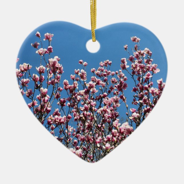 Primavera cor-de-rosa Magnolia Blossomas Ornamento (Frente)