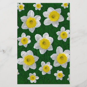 Primavera Daffodils