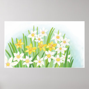Primavera Daffodils Poster