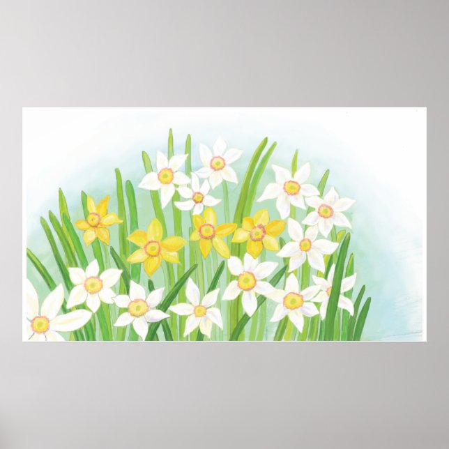 Primavera Daffodils Poster (Frente)