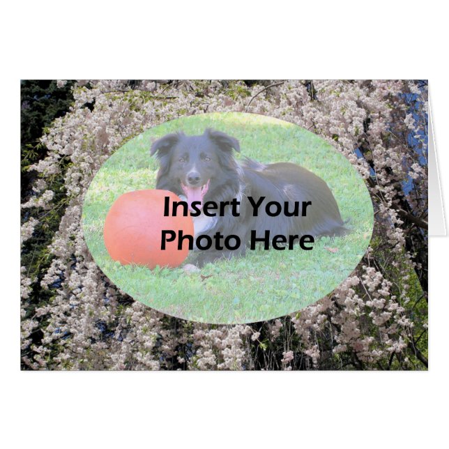 Primavera de de Cartão com fotos de Blossomas em C (Frente Horizontal)