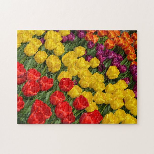 Primavera de tulipas coloridas quebra-cabeça de se (Horizontal)