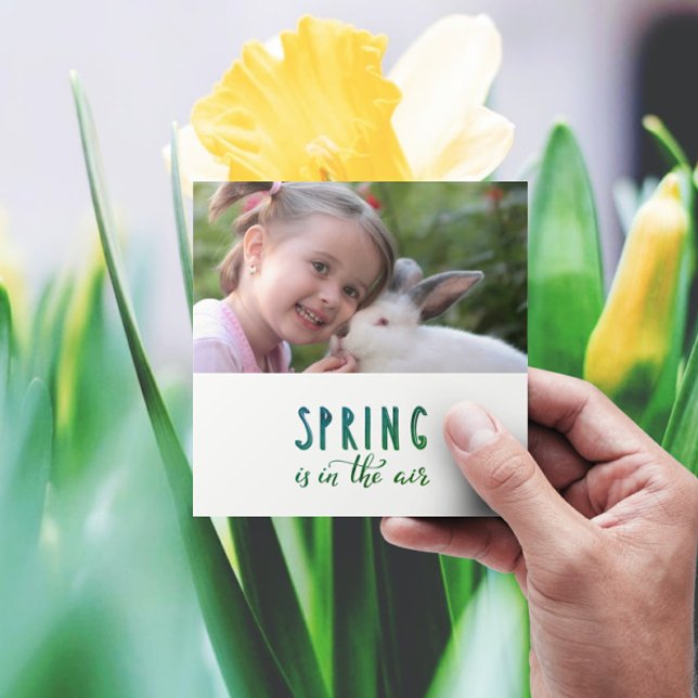 Primavera está no ar - adicionar foto (Criador carregado)