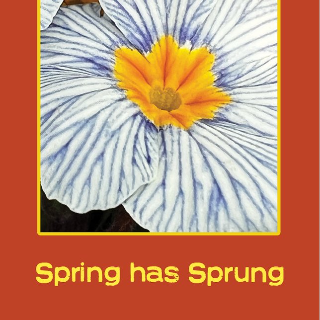 Primavera floral flores coloridas (Criador carregado)