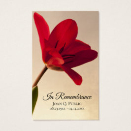 Primavera Funeral Memorial Orador da Flor Vermelha