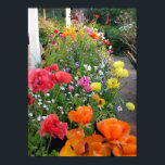 Primavera Garden Rannunculus Floral Flowers Poster<br><div class="desc">Primavera Rannunculus Floral Flowers Poster. Uma poster gloriosa para elogiar qualquer decoração,  tirada do meu próprio escrevendo. Projetado a partir das minhas pinturas de aquarela originais,  que pintei a partir do meu próprio jardim floral.</div>