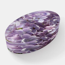 Primavera Macro Foto de Flores Lilás Roxas AH2011