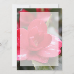 Primavera muito bonita, flor rosa de azálea de ver