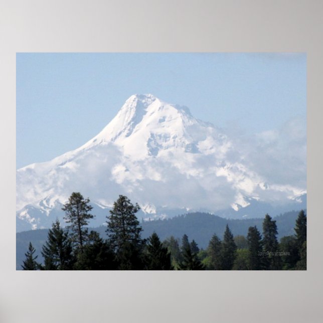 Primavera no Mt Hood Poster (Frente)