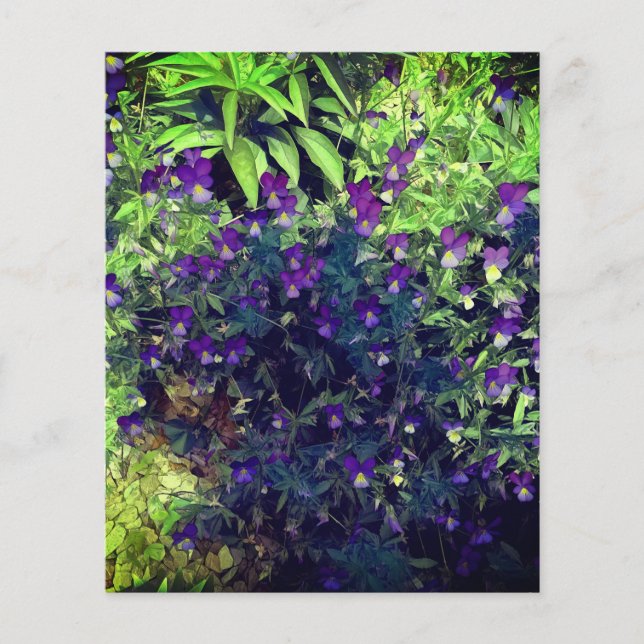 Primavera pansy johnny salta flores flores papel d (Frente)