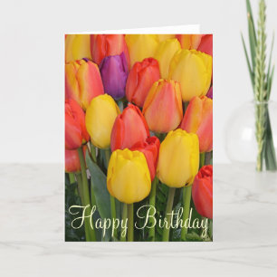 Primavera tulipa Cartão de Aniversário