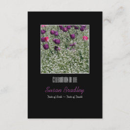 Primavera Tulipas Celebração do Convite à Vida