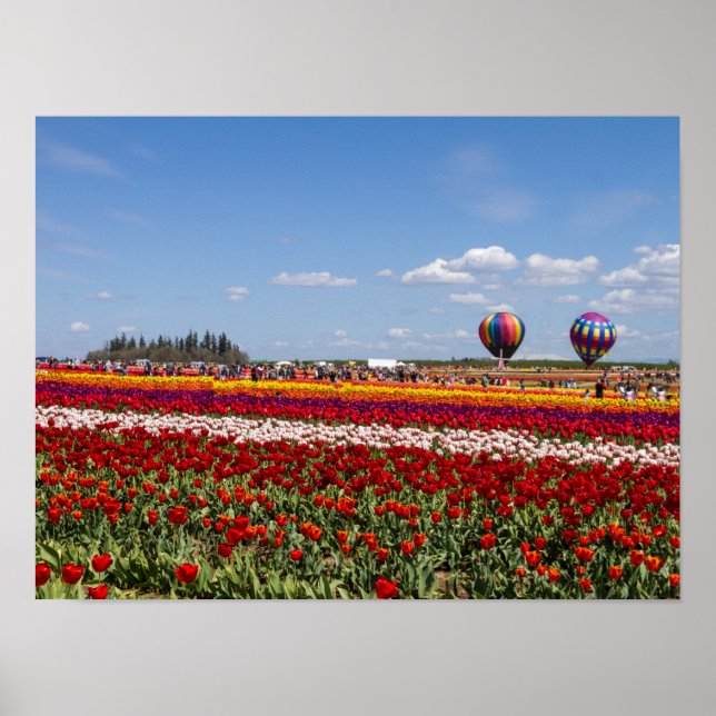 Primavera Tulips Poster de Papel (Matte) (Frente)