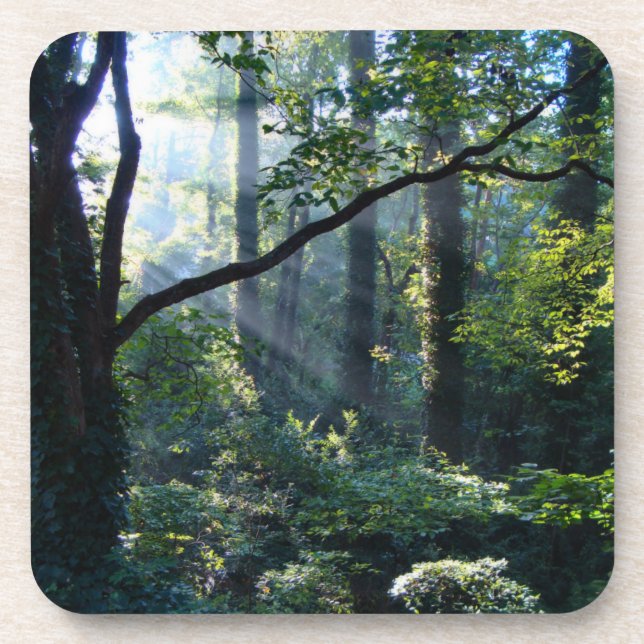 Primeira Porta copos de Cork Luz (Frente)