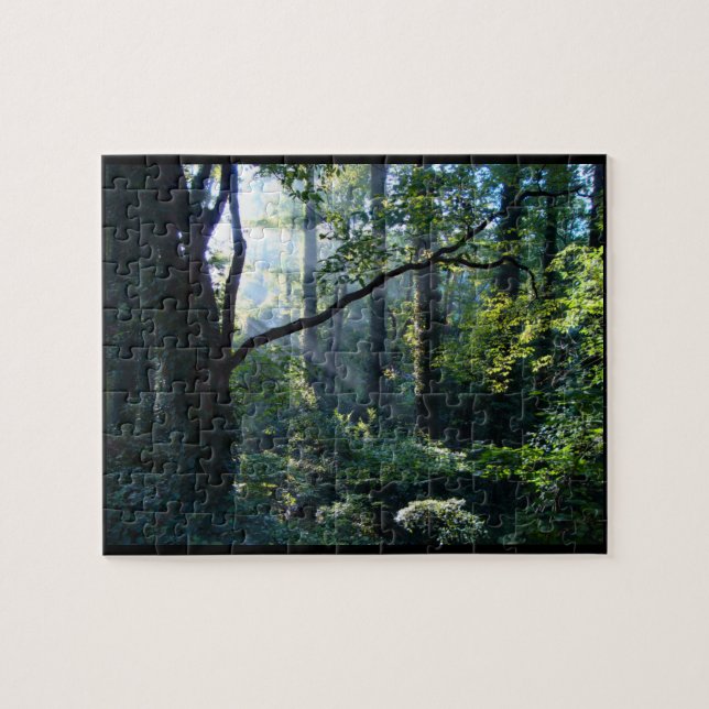 Primeira Quebra-cabeça de luz (Horizontal)