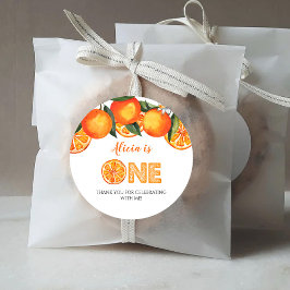 Primeiro Aniversário Adesivo Redondo Clássico Lara